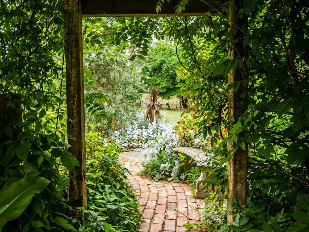 Allée en briques passant sous une pergola en bois couverte de végétation